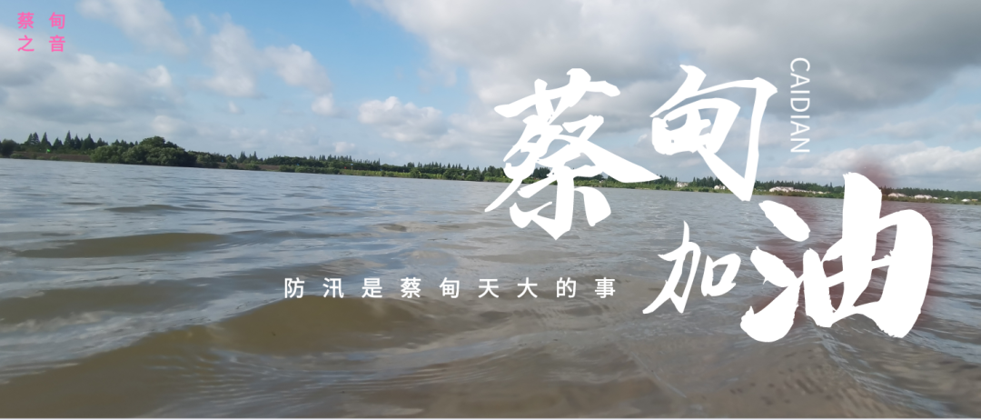 蔡甸區(qū)啟動防汛ⅰ級應(yīng)急響應(yīng)，做好鋪土釘防汛木樁工作
