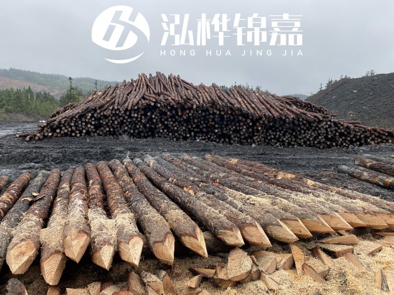 6米長(zhǎng)松木樁有哪些作用，多少錢一根？