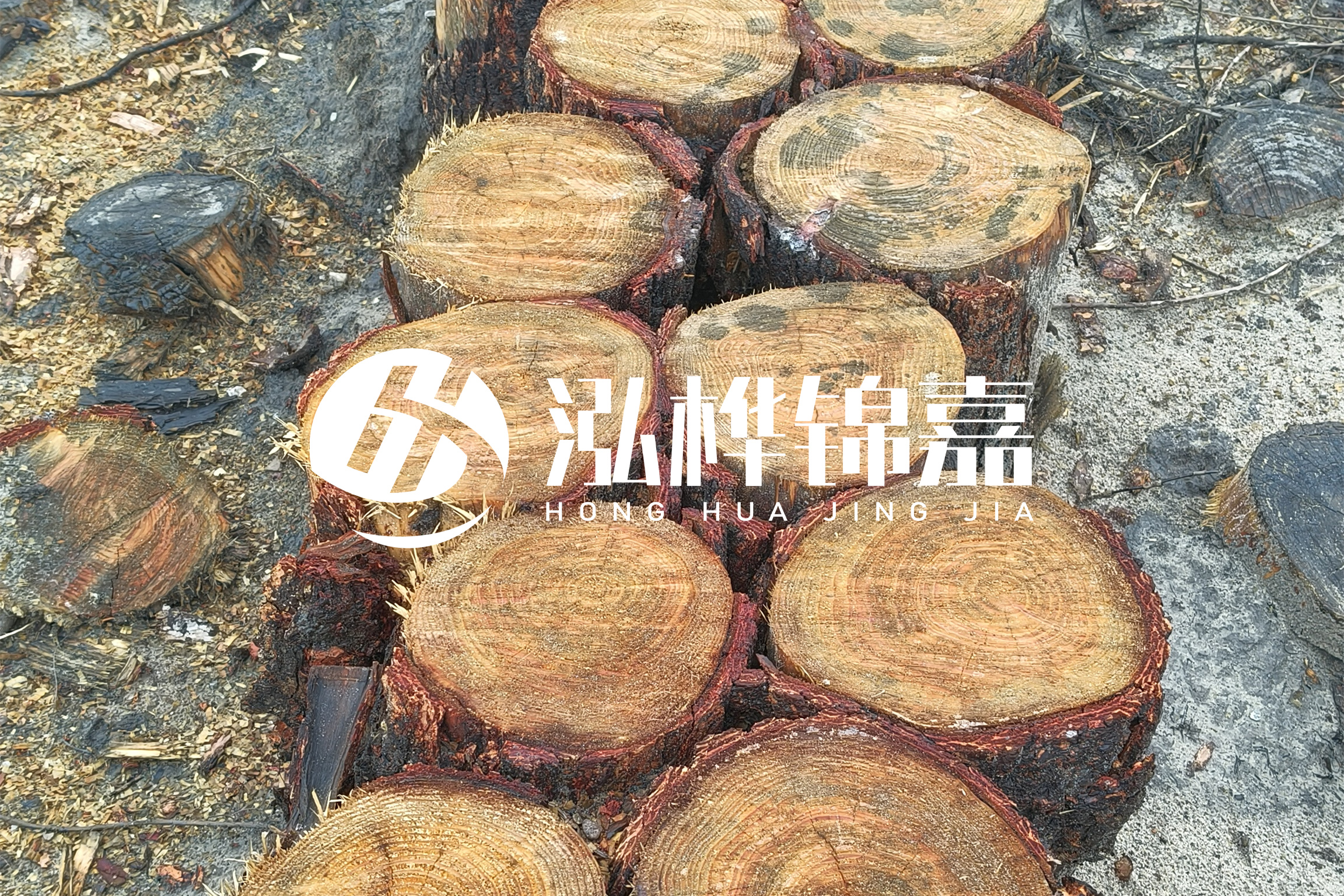 浙江臺州有清淤的公司嗎？浙江臺州有清淤施工隊嗎？