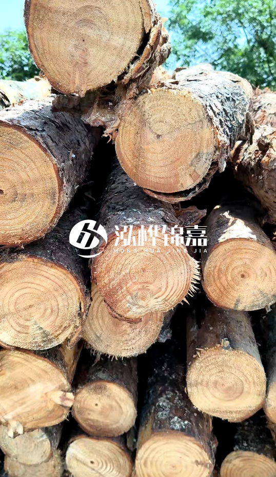 周口挖機(jī)打木樁專業(yè)施工-杉木樁施工打樁怎么打？