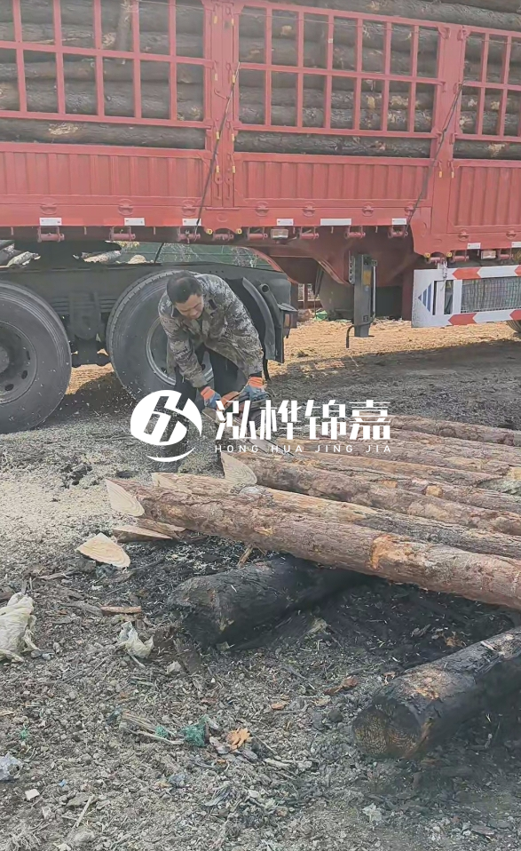 2米松木樁多少錢一根？15-20CM直徑價格是多少？