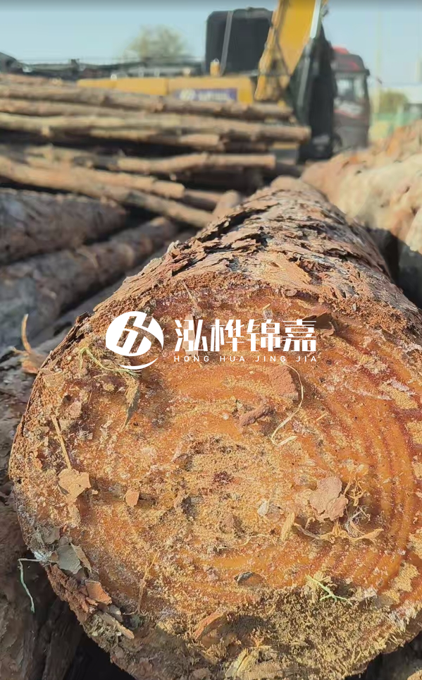 杉木樁價(jià)格多少錢一方-3米直徑14公分杉木樁價(jià)格？