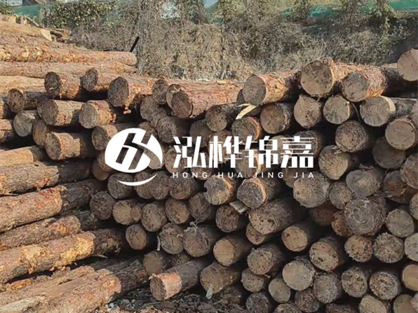 落葉松木材的主要產(chǎn)地在哪里？為什么比其他松木更耐腐蝕？