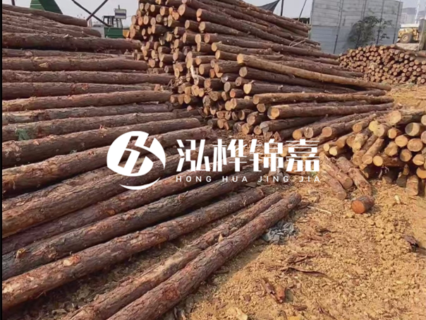 河道木樁施工遇到淤泥怎么辦？打多深才能防沖刷？