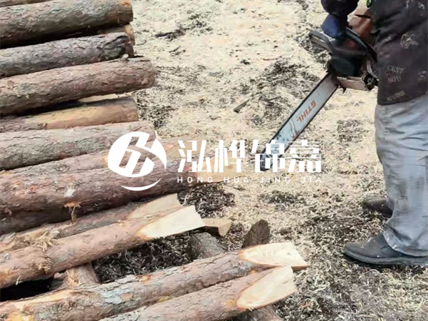 杉木樁批發(fā)廠家哪家好？產(chǎn)地直供渠道推薦！