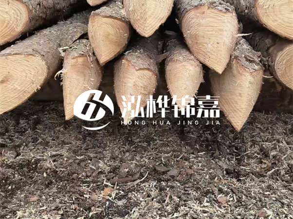 打樁木樁與鋼樁相比有哪些優(yōu)缺點(diǎn)？如何進(jìn)行后期維護(hù)？
