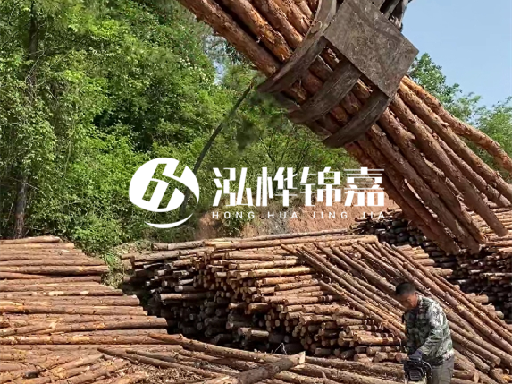 哪里能買到優(yōu)質(zhì) 3 米松木樁？長沙有松木樁批發(fā)工廠嗎？
