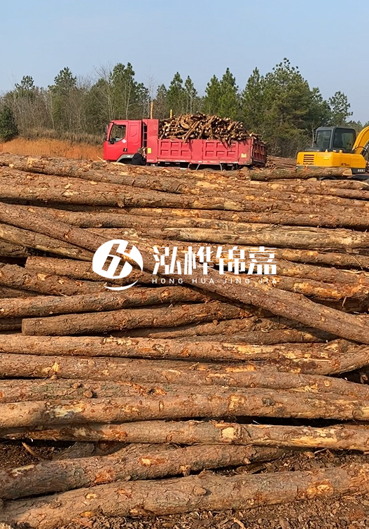 8米小頭11-13CM的松木樁價格是多少？打樁施工怎么算？
