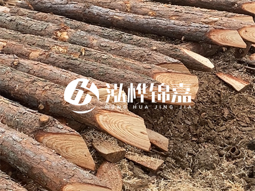 松木樁削尖的費用怎么算？按根收費還是包含在單價里？