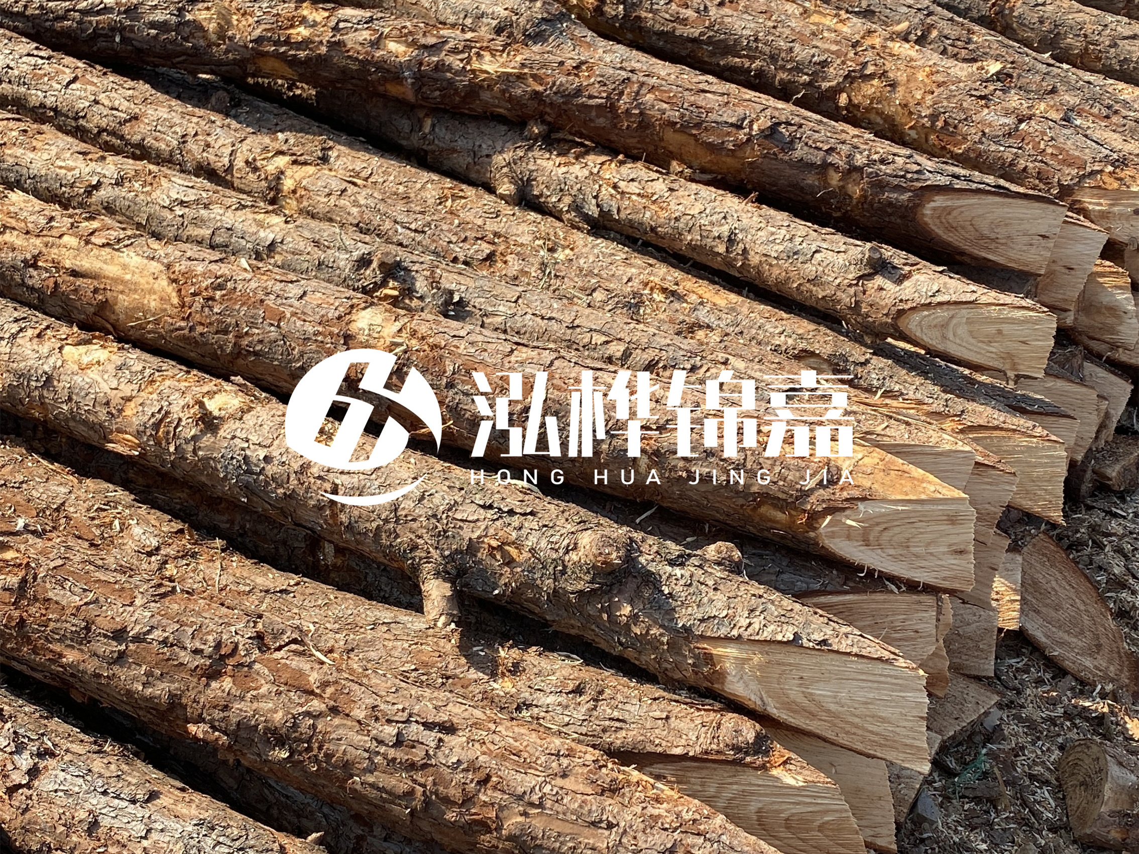 8 米超大直徑松木樁的價格是多少？帶皮和去皮松木樁價格差多少？