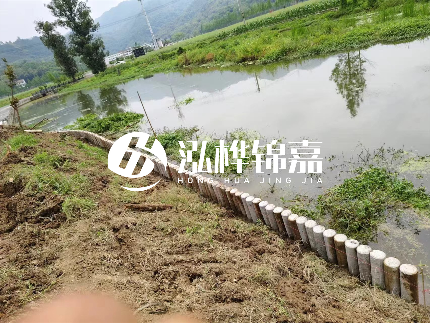 松木樁加固河道與水泥樁對比如何？哪一種更加適合您？