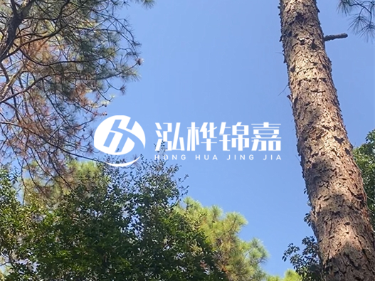 松木樁廠家的供貨能力強(qiáng)不強(qiáng)-怎么才能聯(lián)系到松木樁廠家？