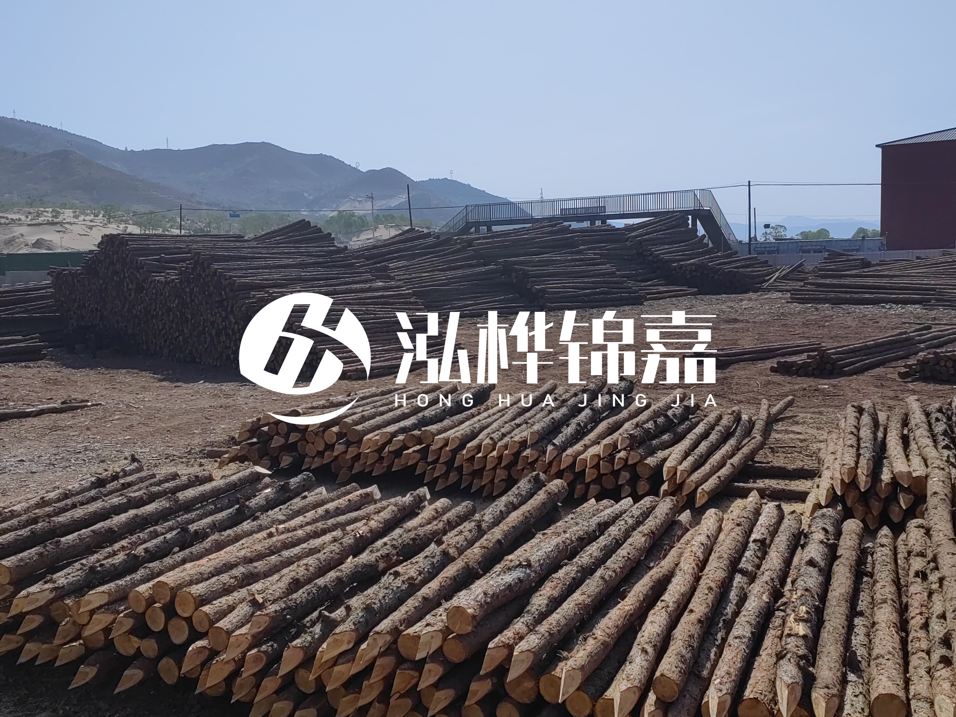 江蘇打樁木源頭廠家泓樺錦嘉-4米打樁木大頭14-16小頭一般多少？