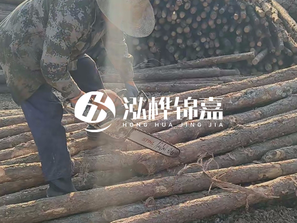 廣東打樁木源頭廠家泓樺錦嘉 - 如何選擇適合特定邊坡的松木樁？