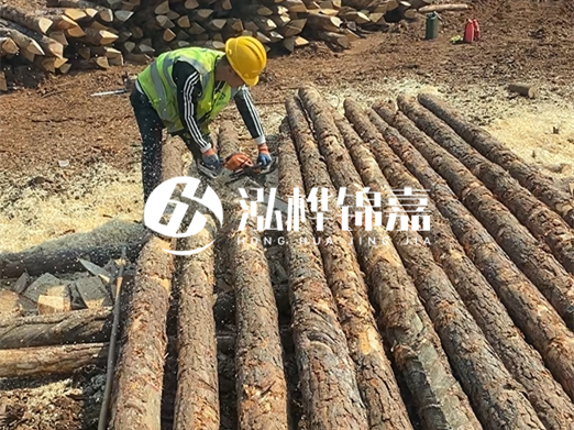 松木樁批發(fā)廠家泓樺錦嘉-河道打樁木施工中怎么防止樁頭被打壞？