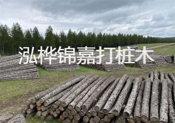 鋼結構施工方案大全免費提供，助力工程建設