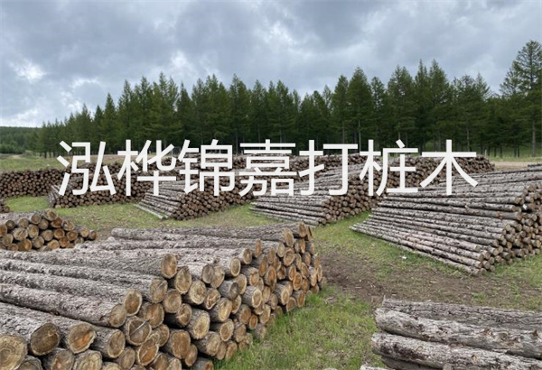 預(yù)制松木樁施工工藝：優(yōu)質(zhì)材料，高效快速，堅(jiān)固耐用