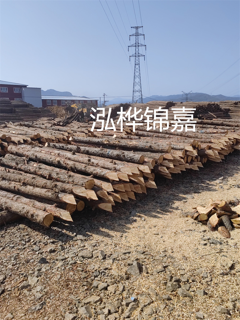 深入了解松木樁基礎(chǔ)施工單價(jià)，助力工程建設(shè)順利進(jìn)行！