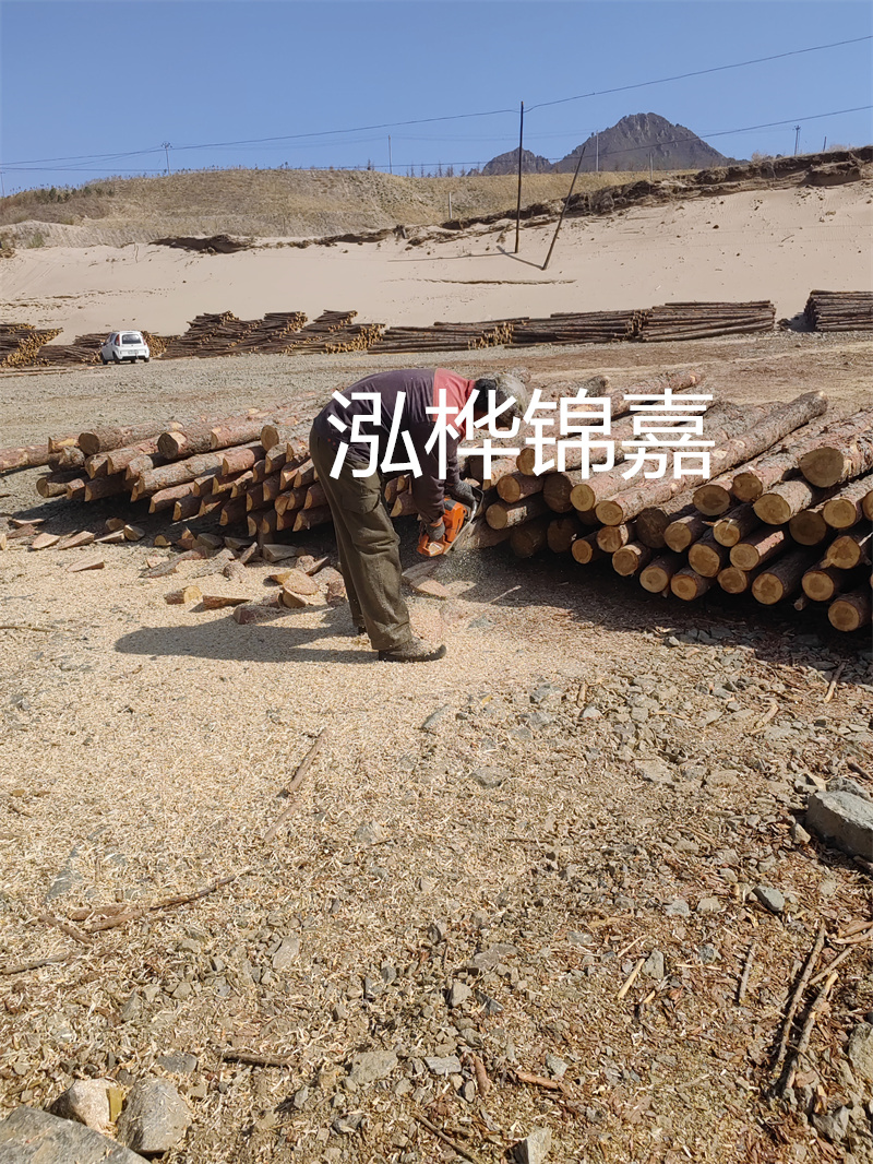 松木樁駁岸施工，打造水上風(fēng)景線