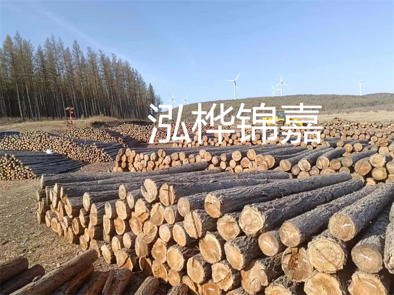 用路基松木樁施工方案提升工程質(zhì)量描述：了解路基松木樁施工方案的重要性，提高工程質(zhì)量關(guān)鍵詞：路基松木樁，施工方案，工程質(zhì)量