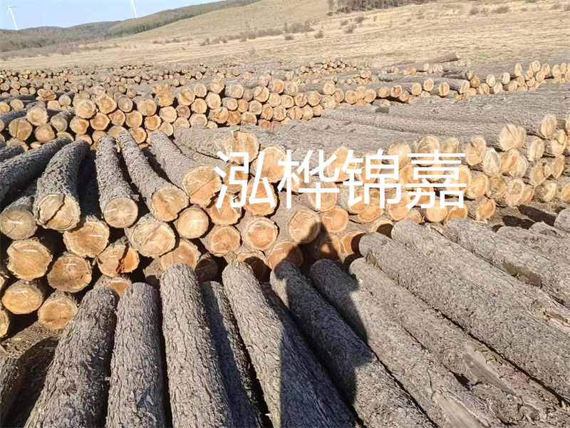 選擇合適的路緣石尺寸，打造美麗道路