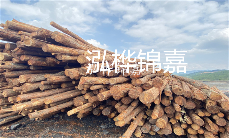 濮陽松木樁，卓越品質(zhì)，安全可靠