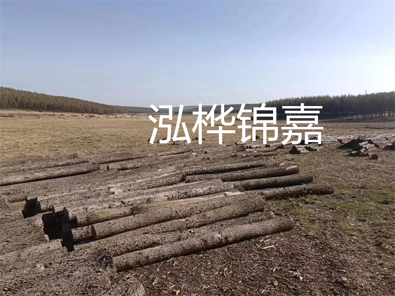 鄂州松木樁哪里好？推薦泓樺錦嘉松木樁業(yè)！